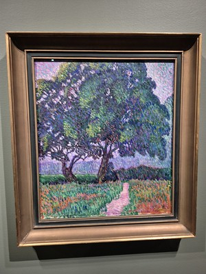 55193291344_28f8d9790c_w